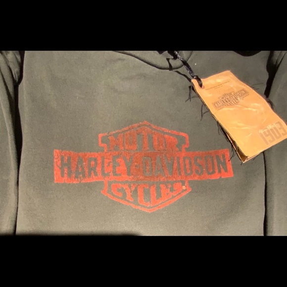 Harley Davidson Women’s Long Sleeve Gray T-Shirt - Picture 3 of 6
